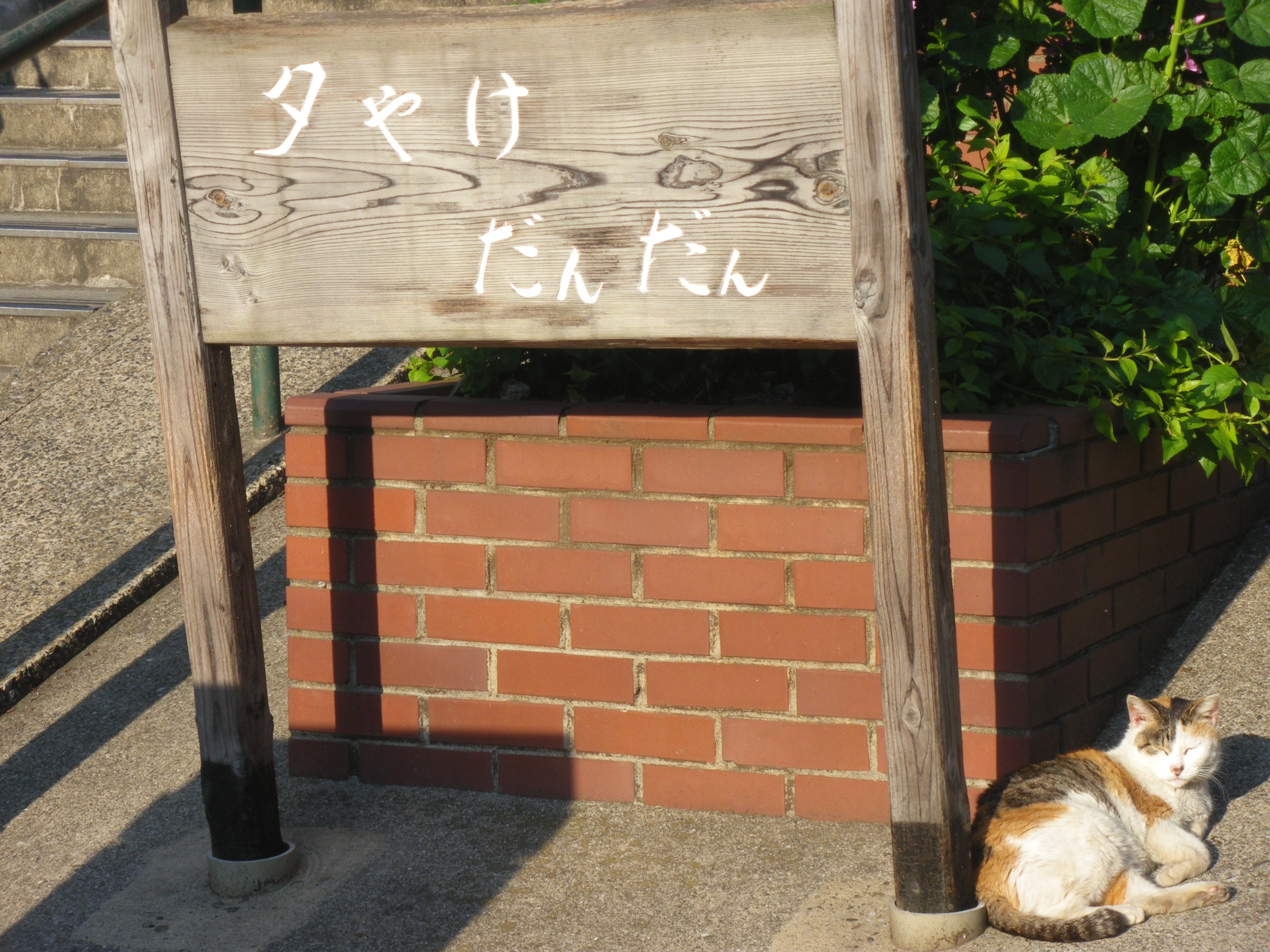 Yuyake Dandan