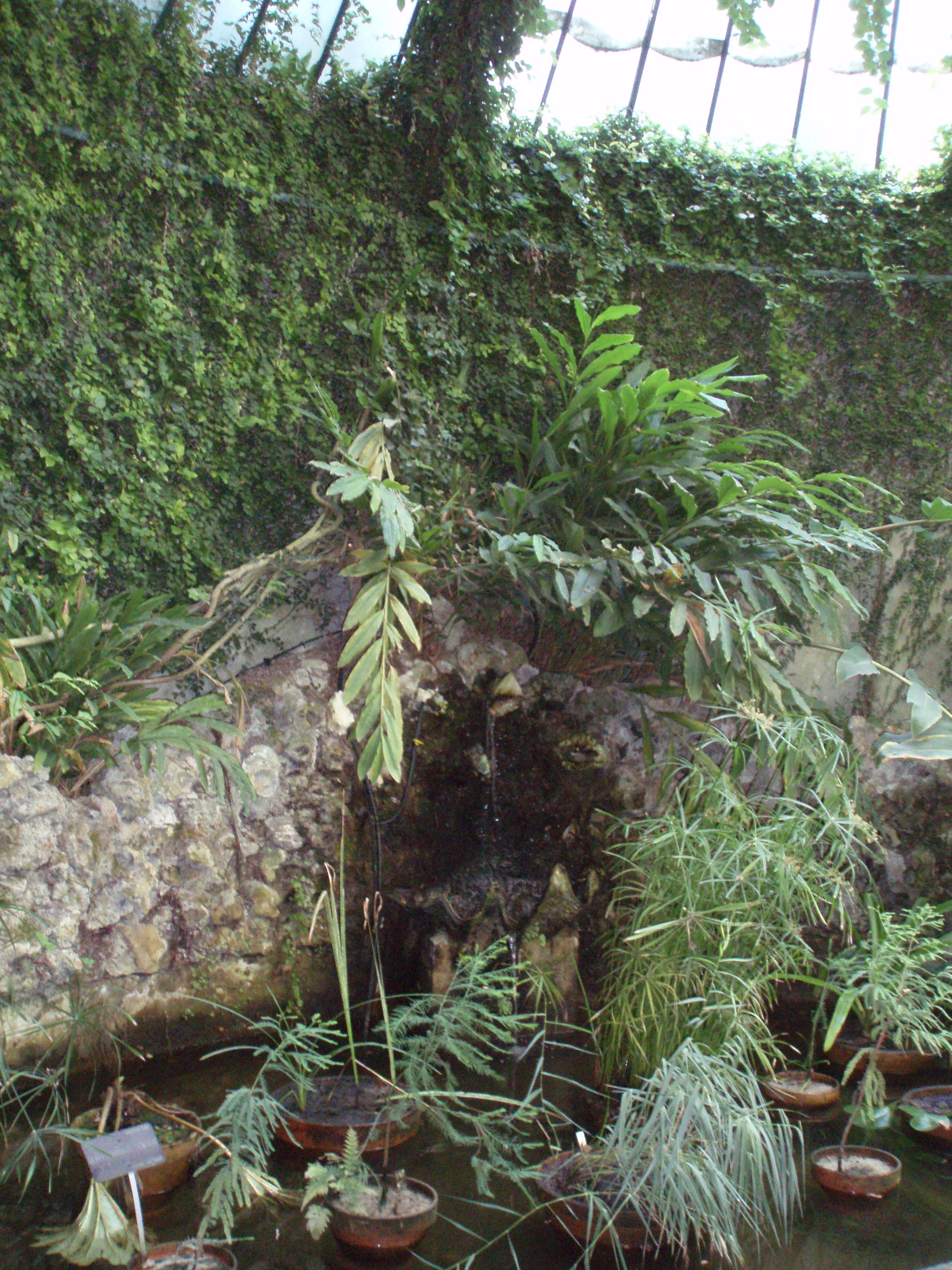 Real Jardín Botánico