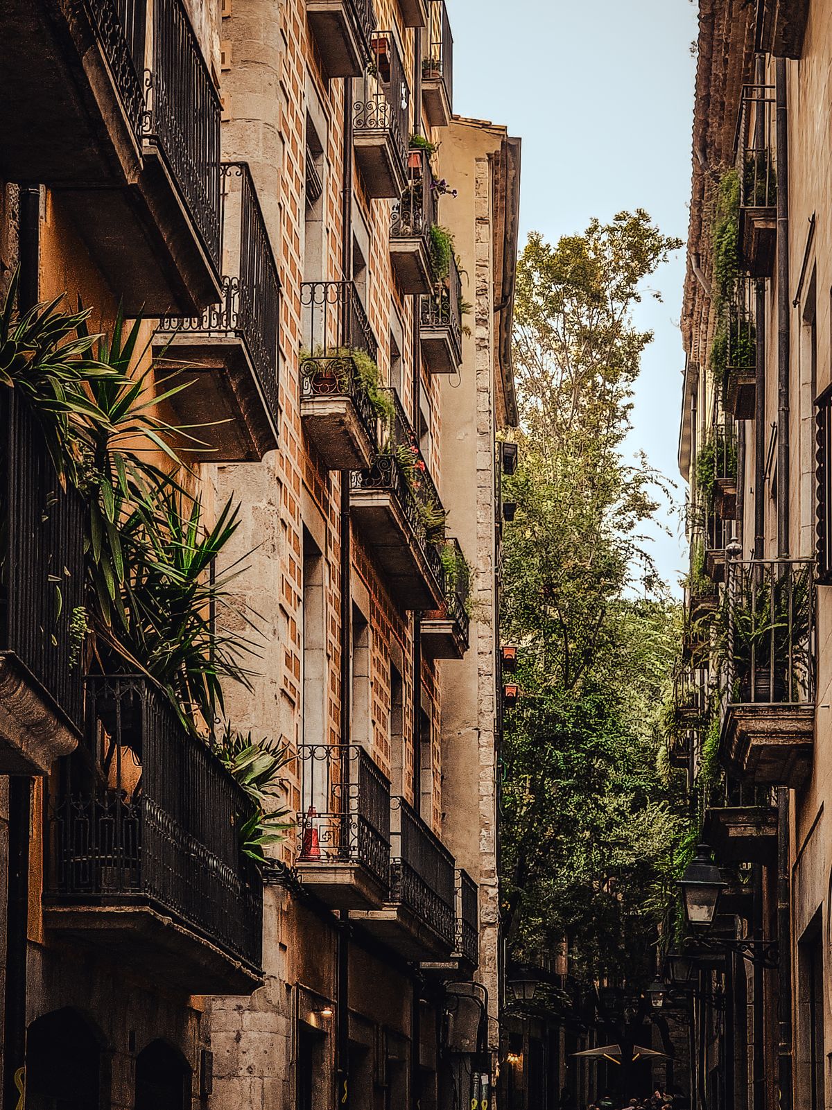 संकीर्ण गलियां — Carrer de Cúndaro