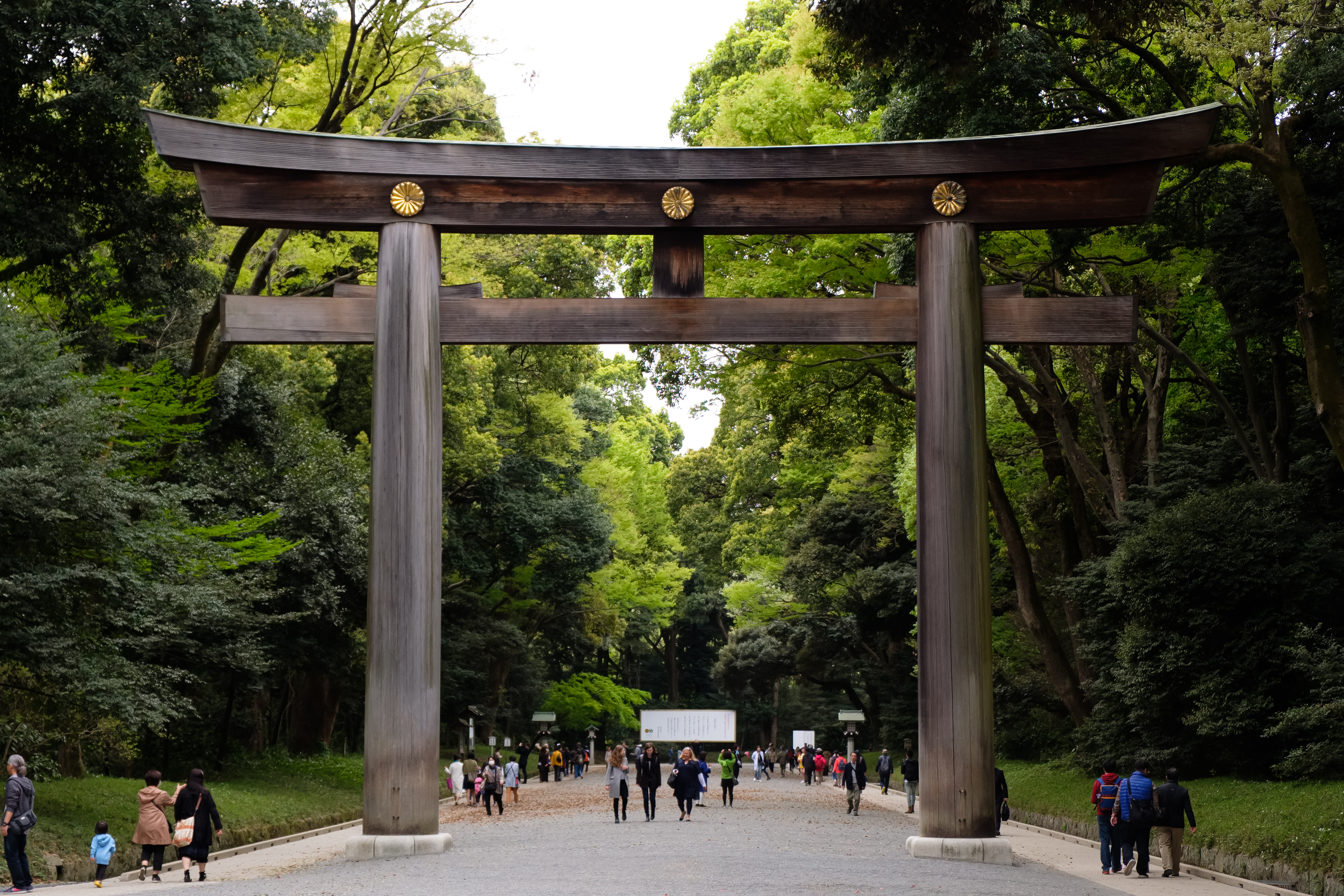 Omotesando: The Open-Air Architecture Museum