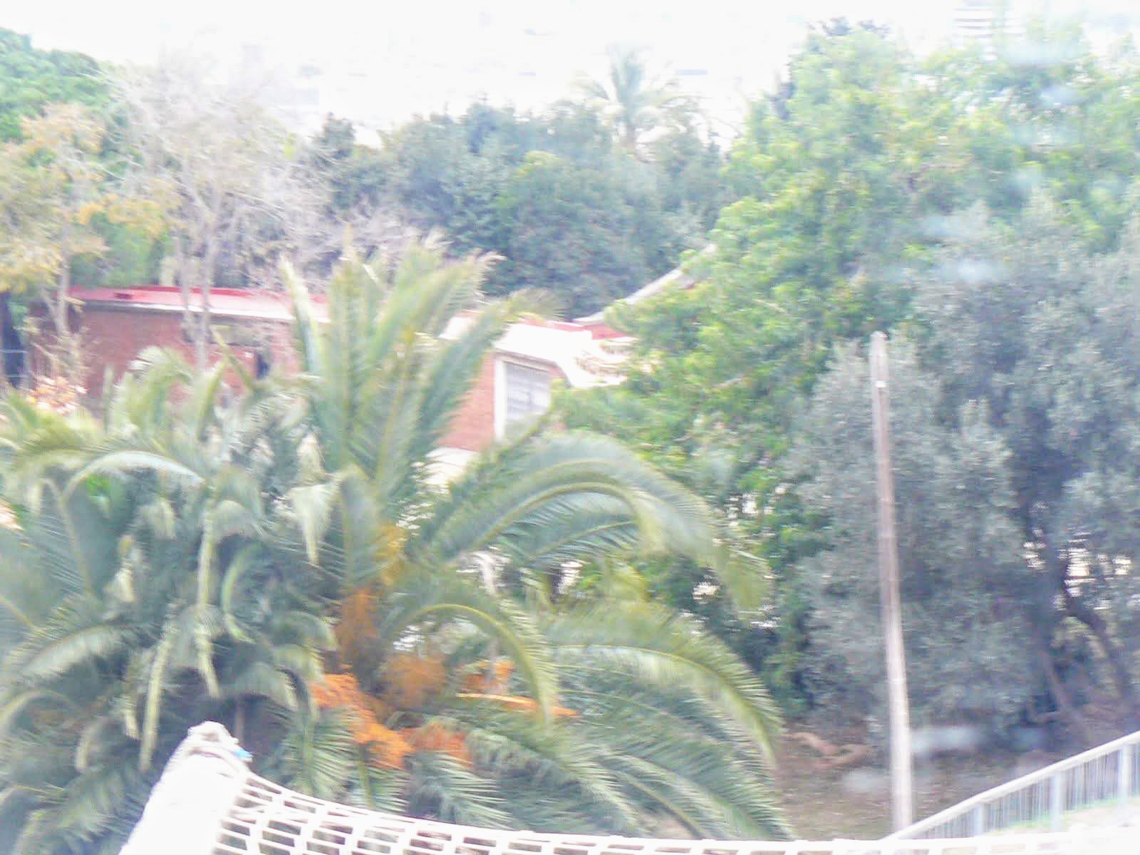 Parc de la Ciutadella