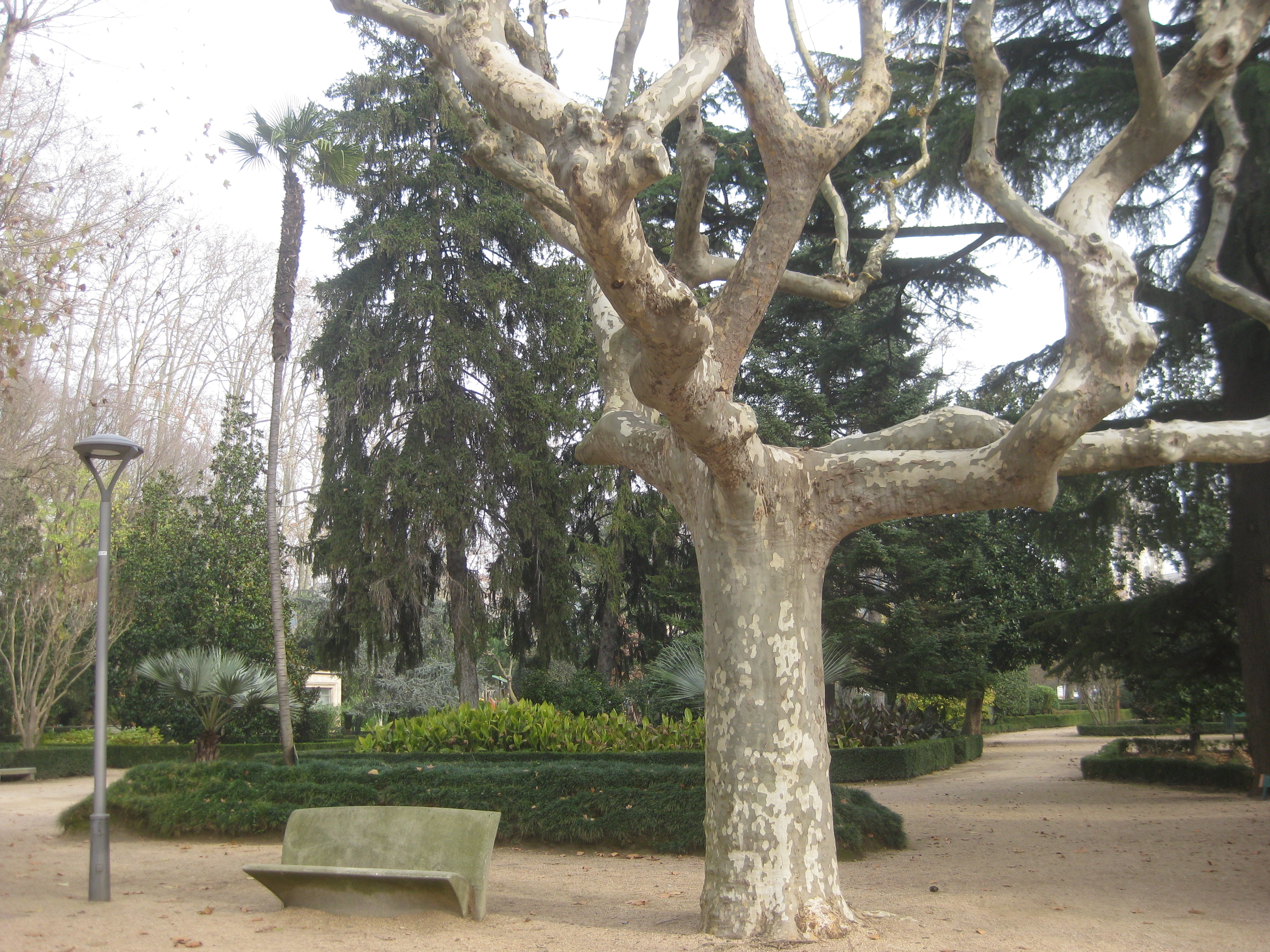 Parc de la Devesa — El mercat dels dimarts i dissabtes