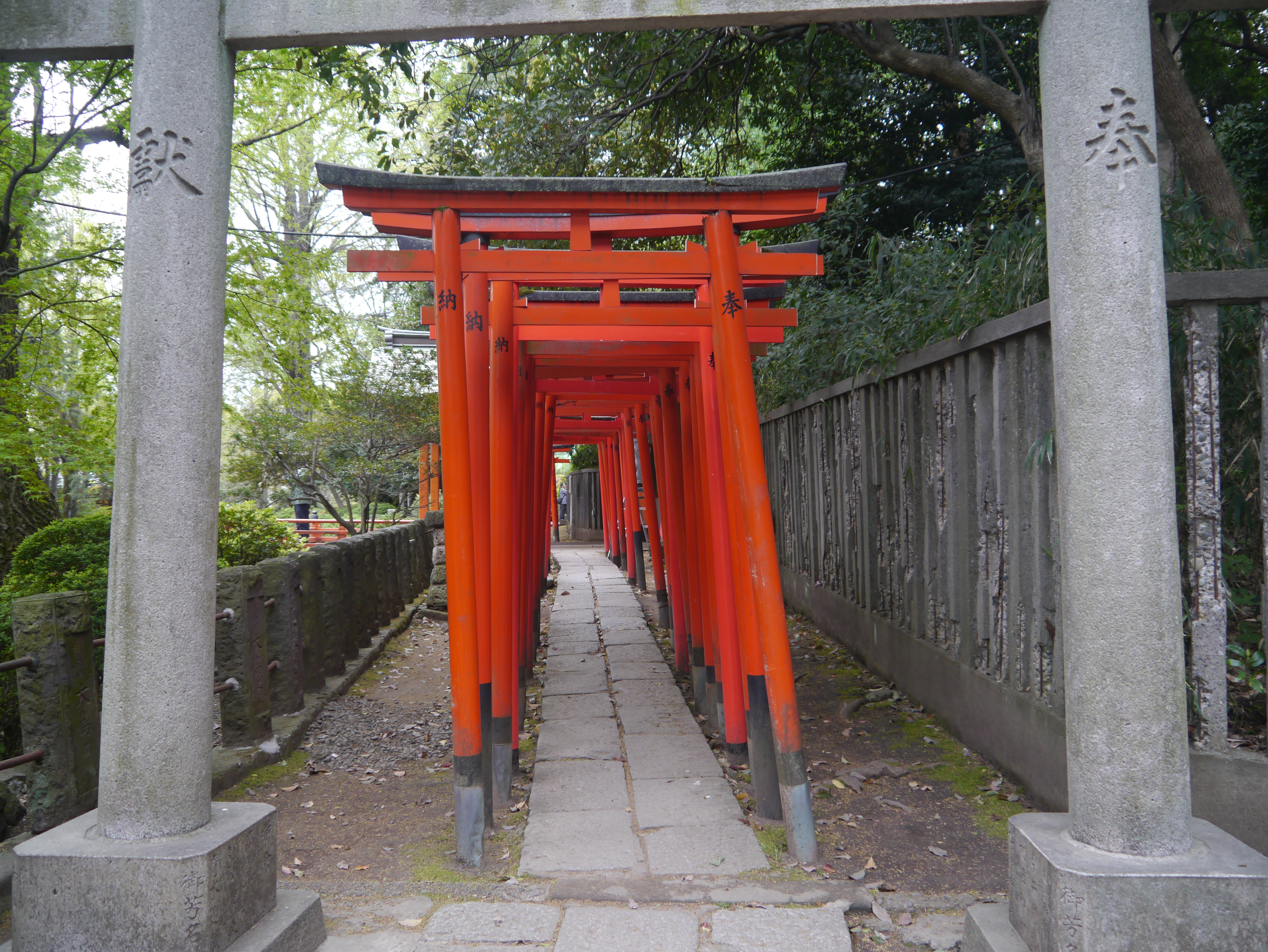 Otome Inari torii tunnel