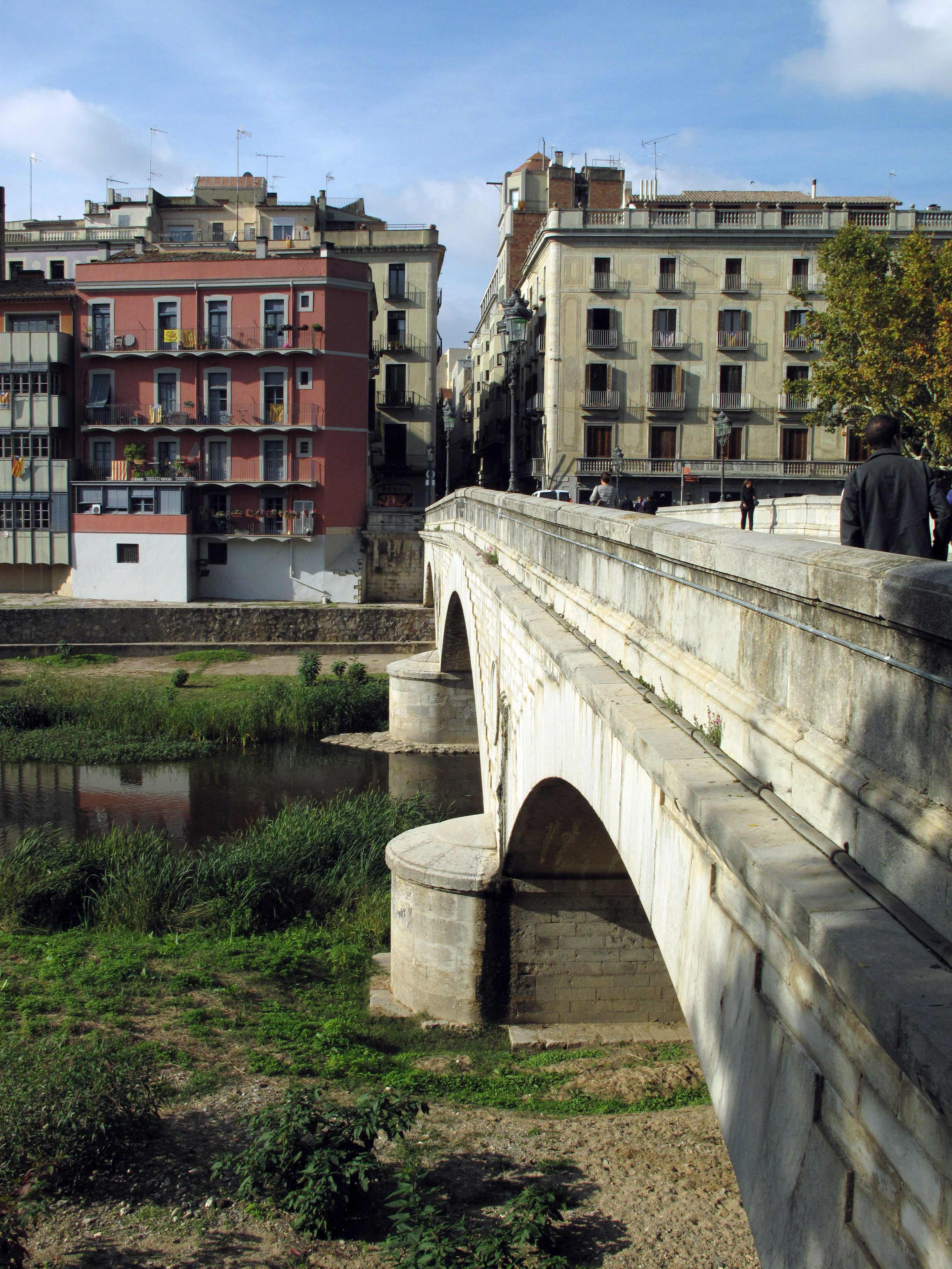 Pont de Pedra — Context comercial fluvial
