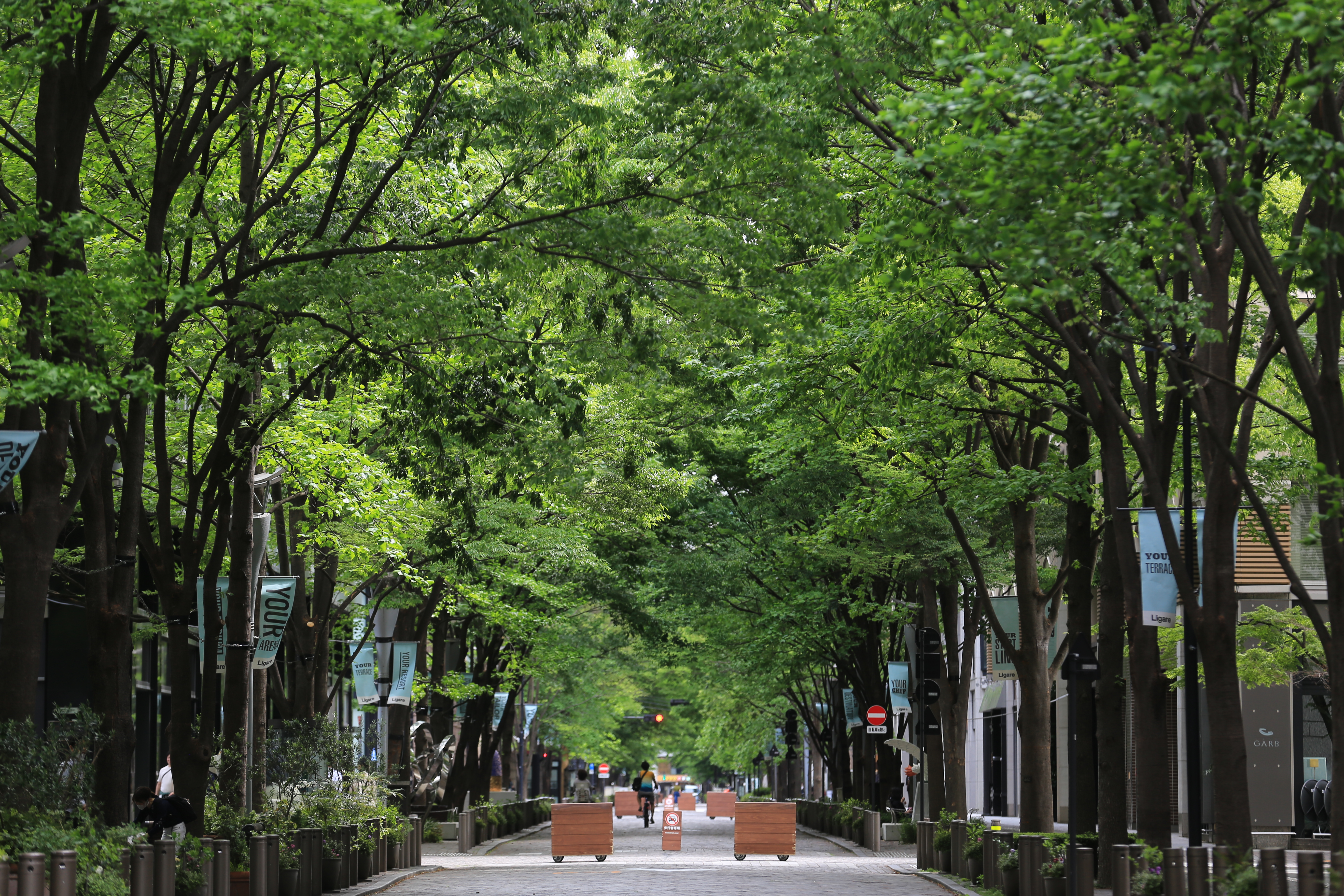 Marunouchi Naka-dori
