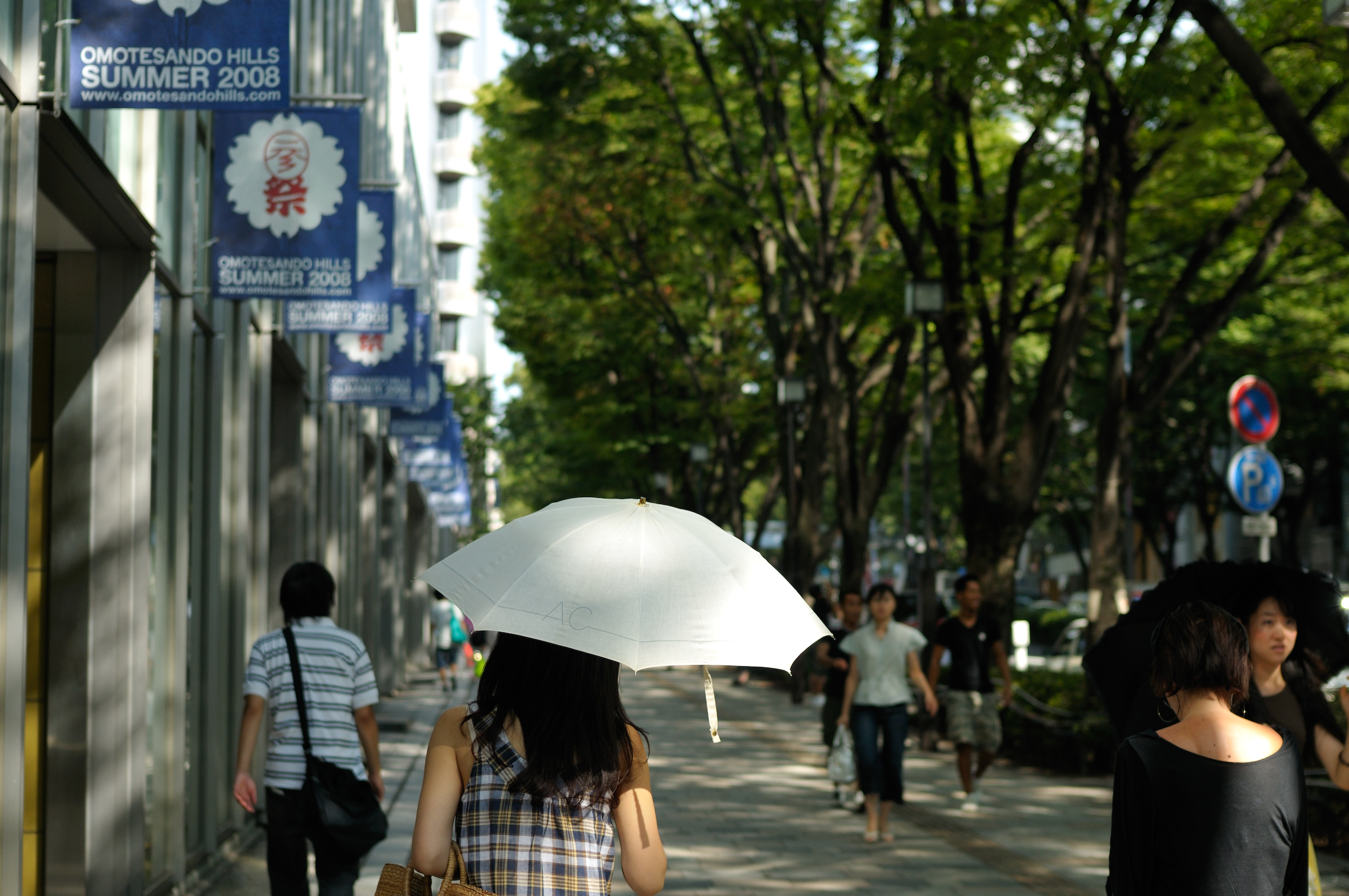 Omotesando Zelkova Avenue