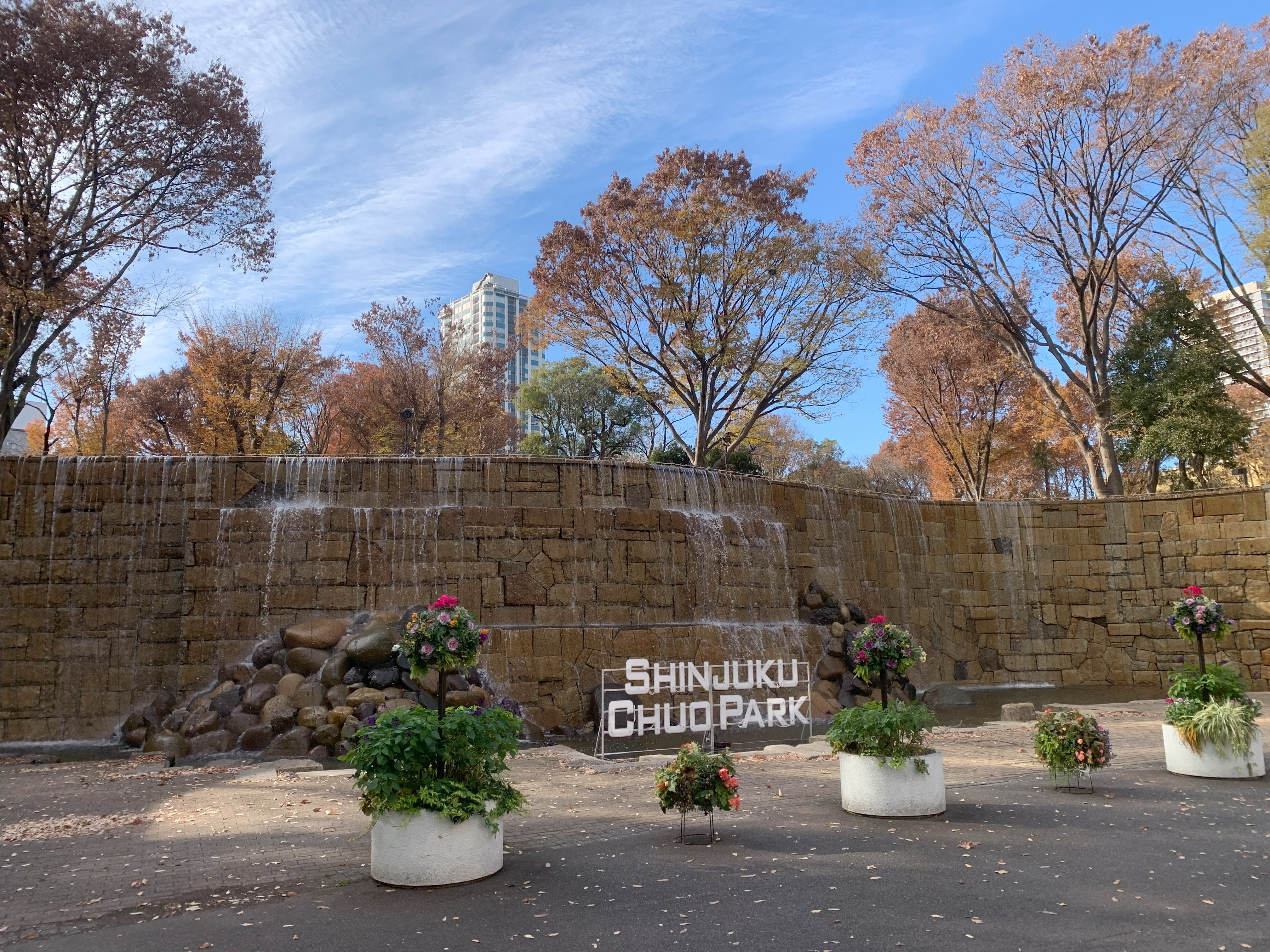 Shinjuku Chuo Park
