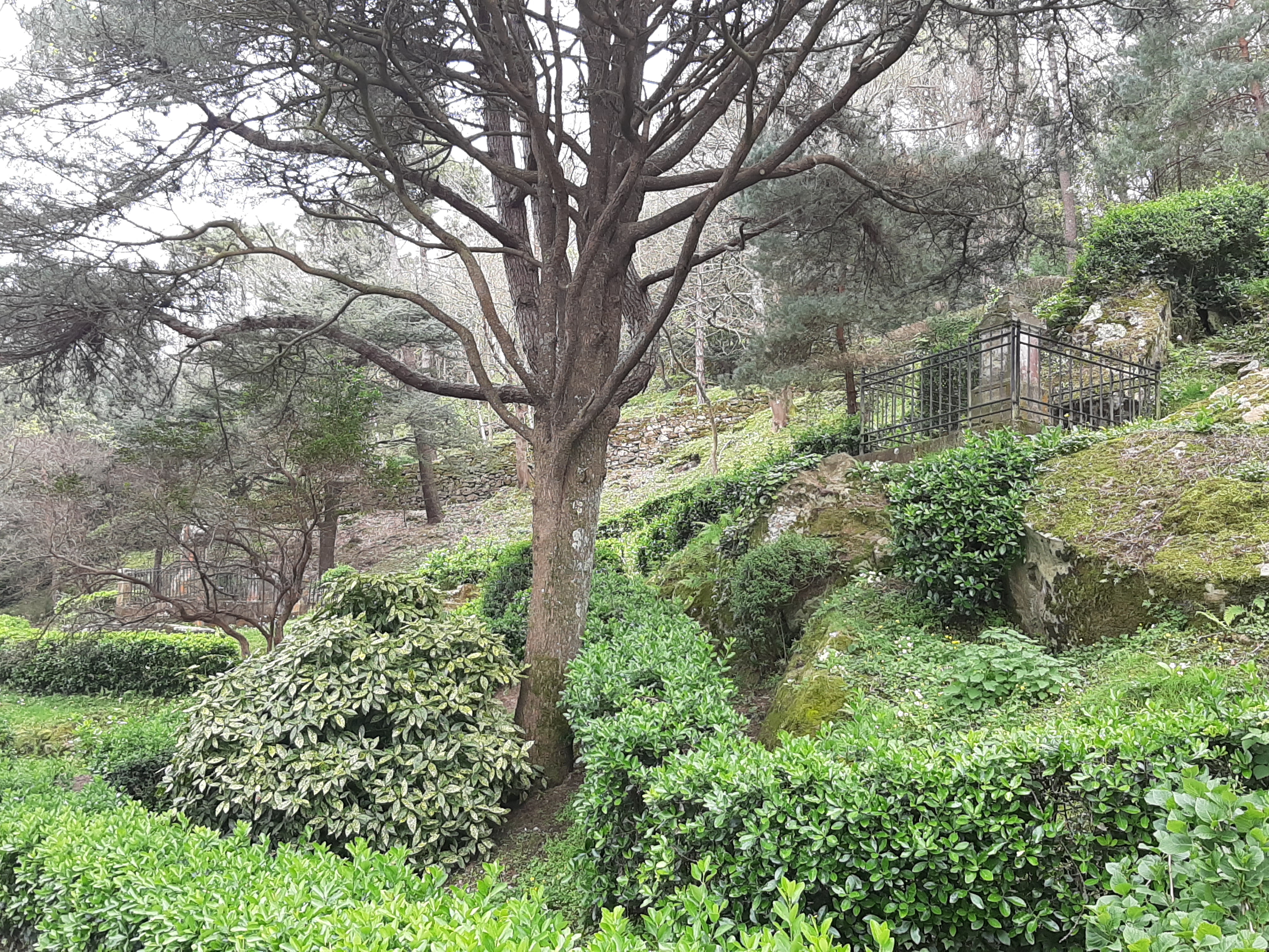 English Cemetery