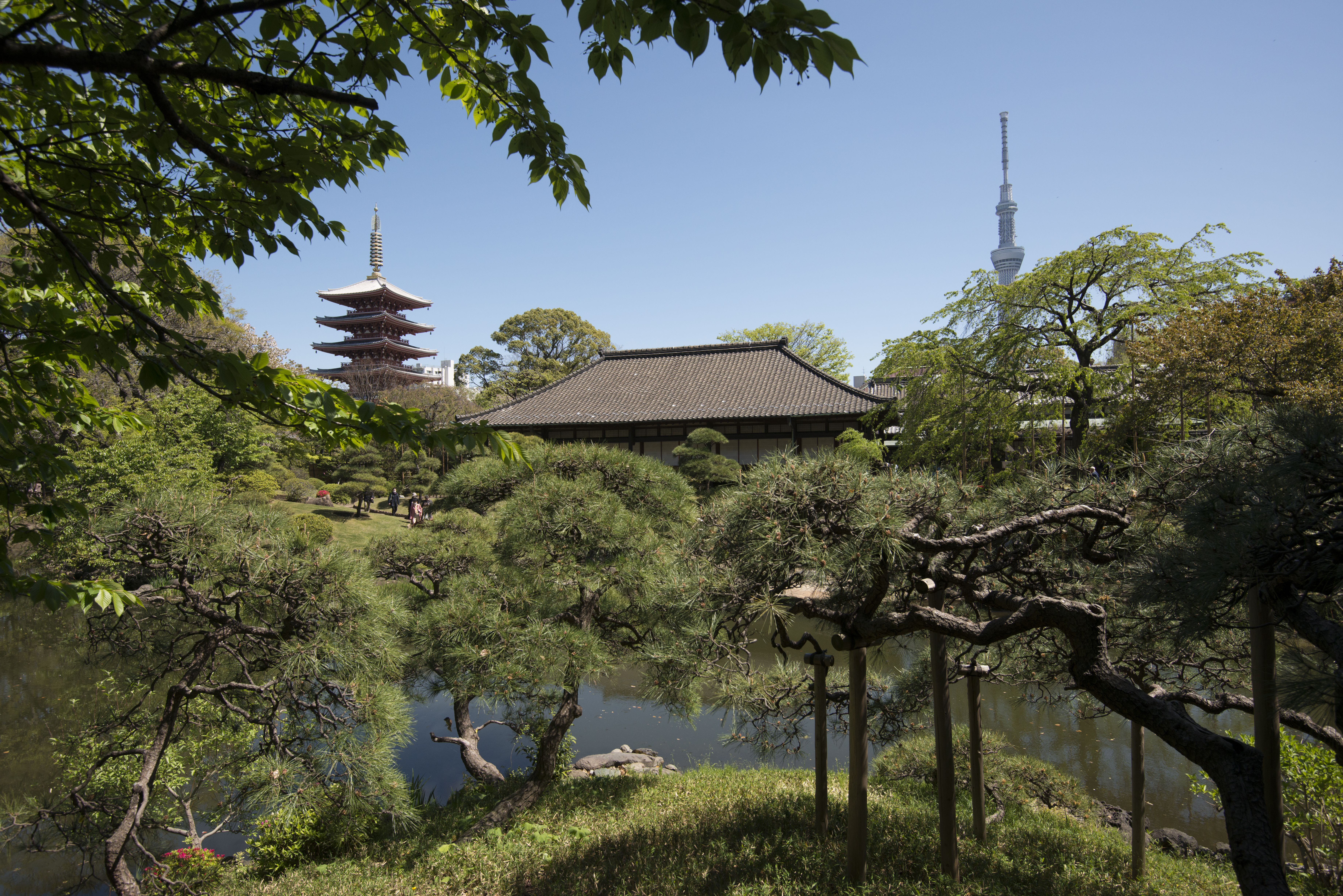 Asakusa: The Temple That Burned and Came Back in Concrete
